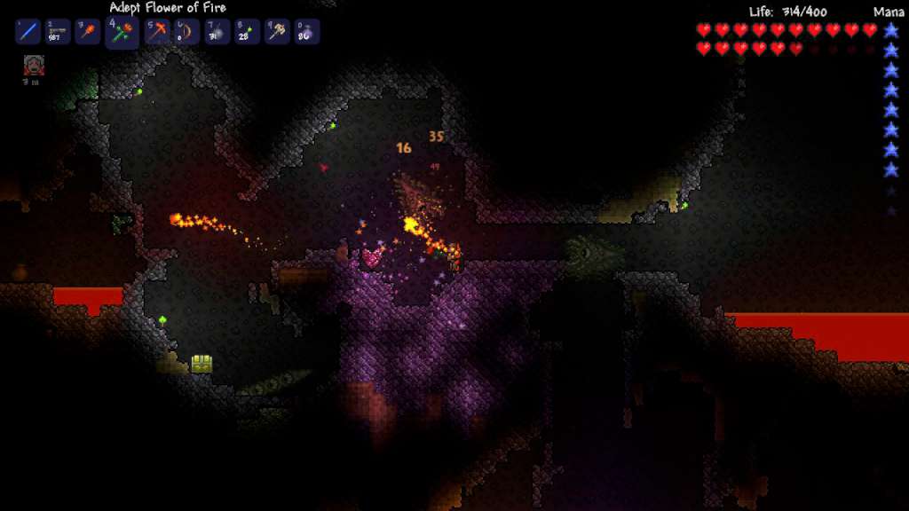 Terraria PC Steam CD Key