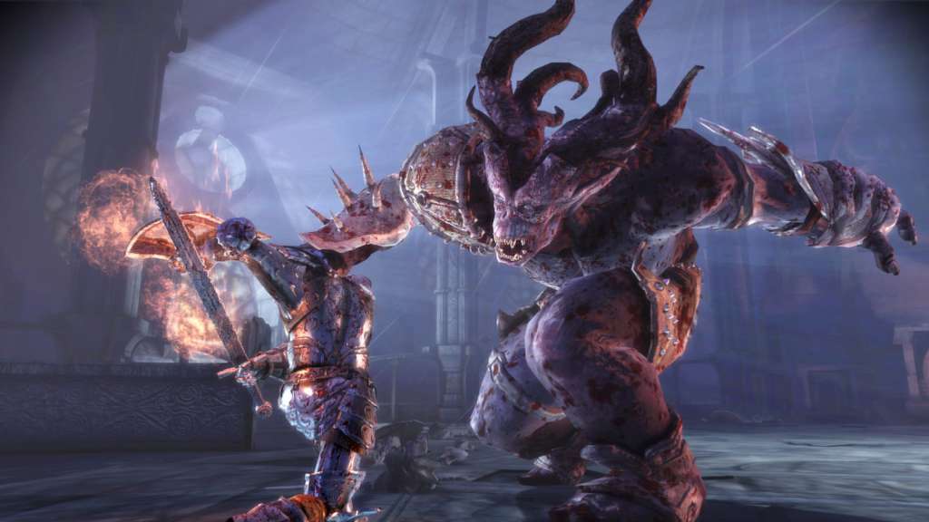 Dragon Age: Origins PC Steam CD Key