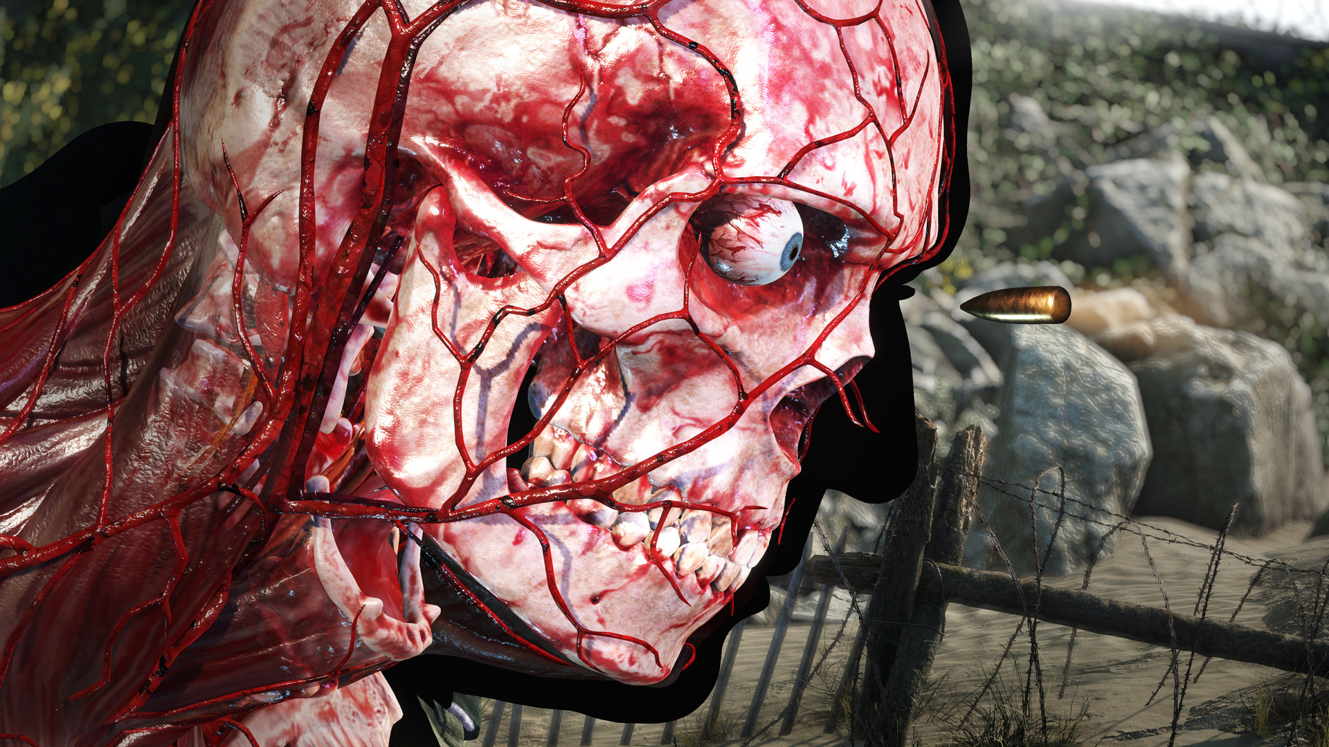 Sniper Elite 5 EU PC Steam CD Key