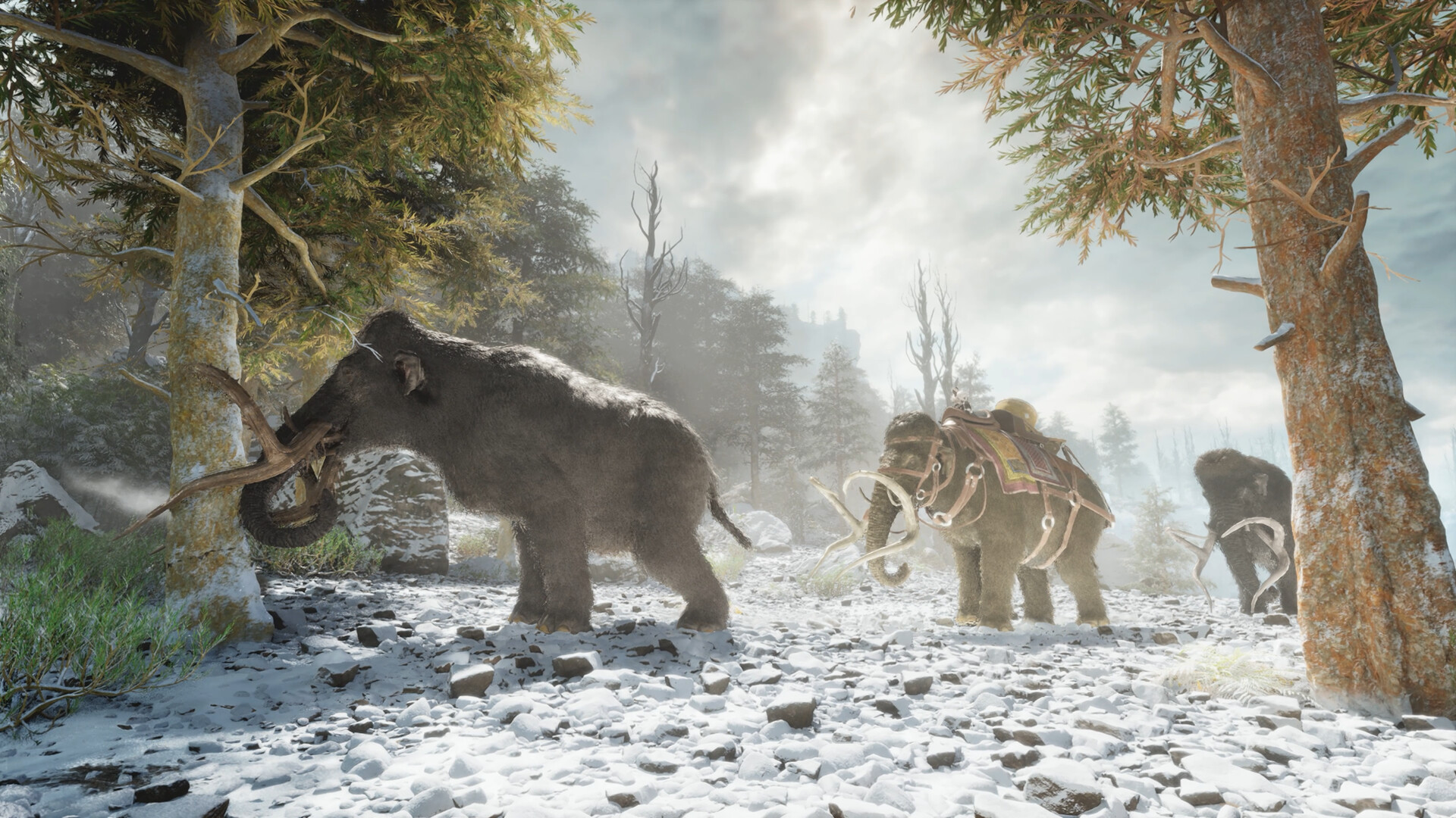 ARK: Survival Ascended EU Xbox Series X|S CD Key